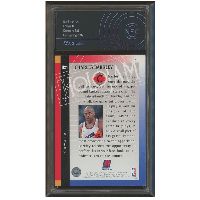 CHARLES BARKLEY- FORWARD - immagine 2